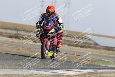 media/Nov-03-2025-Lets Ride (Mon) [[4d74c1c4d3]]/B Group/1220pm (Wheelie Bump)/